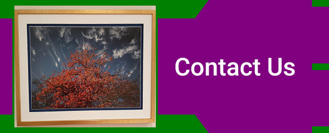 Work Of Art Picture Framers - Promotion 1