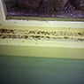 Pest Control Melbourne