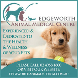 Edgeworth Animal Medical Centre - Promotion