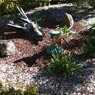 Robert's Home & Garden Maintenance - Pic 4