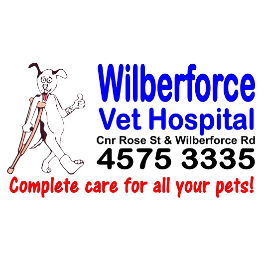 Wilberforce Veterinary Hospital - Promotion