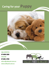Caring For Your Puppy