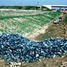 SEEC - Pic 8