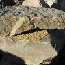 Alpine Garden Supplies - Pic 3