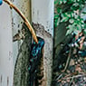 Jetset Plumbing - Pic 3