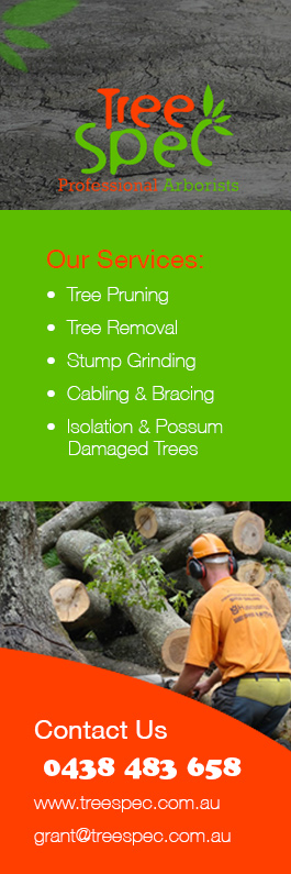 TreeSpec Professional Arborists - Promotion