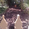 Goldfields Gardening - Pic 1