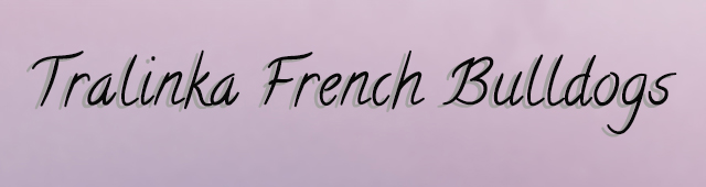 Tralinka French Bulldogs - logo