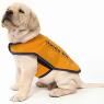 Pets Eternal Pet Memorial Services - Pic 4