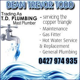 Dean Trevor Todd - Promotion