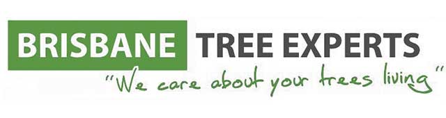 Brisbane Tree Experts - logo