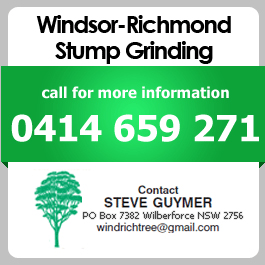 Windsor-Richmond Stump Grinding - Promotion