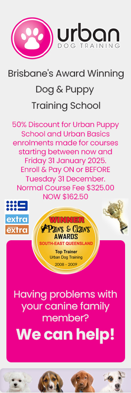 Urban Dog Training - Promotion