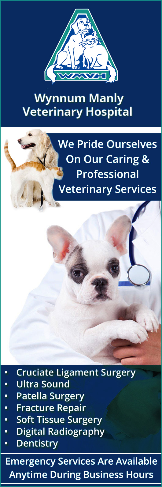 Wynnum Manly Vet Hospital - Promotion