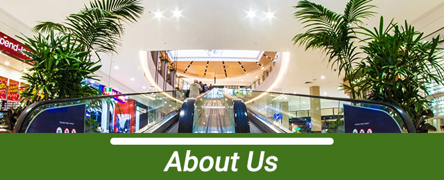 D&L Indoor Plant Hire & Garden Maintenance Pty Ltd - Promotion 2