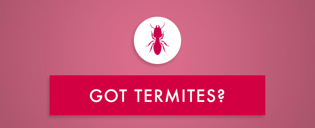 Murray Pest Control - Promotion 2