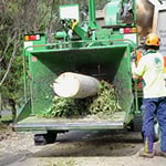 A Accurate Tree Services - Pic 4