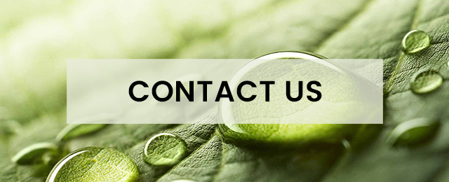Australian Direct Cremations and Funeral Services - Promotion 1