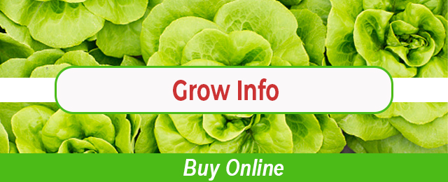 Green Acres Hydroponics - Promotion 3