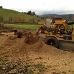 Curtis Tree Lopping Specialists - Pic 4