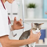 Wetherill Park Veterinary Surgeons - Pic 8