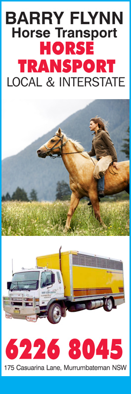 Barry Flynn Horse Transport - Promotion