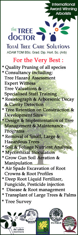 The Tree Doctor - Promotion