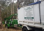 Tree Central - Pic 2