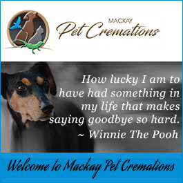 Mackay Pet Cremations - Promotion