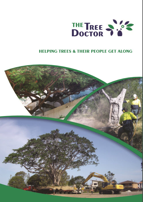 The Tree Doctor Service Brochure