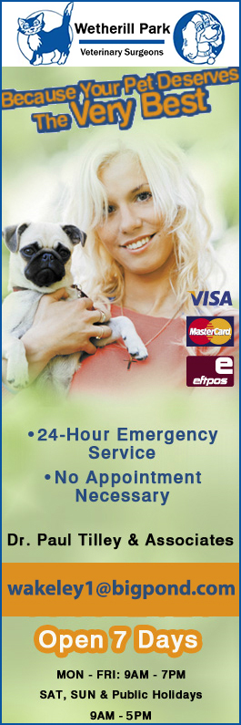 Wetherill Park Veterinary Surgeons - Promotion