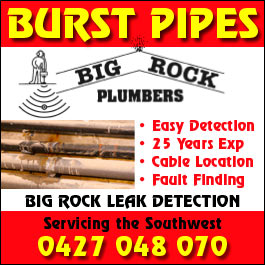 Big Rock Leak Detection - Promotion
