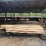 Dindi Sawmills Pty Ltd - Pic 10