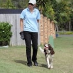 Loose Leash Walking, part of every Training Course option.
