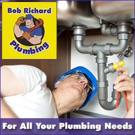 Bob Richard - Promotion