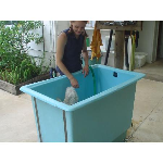 Hot Hydro bath with flea & tic rince