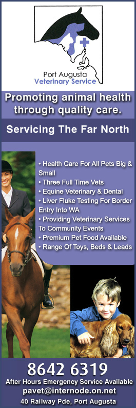 Port Augusta Veterinary Services - Promotion