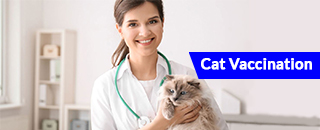 The Veterinary Hospital North - Promotion 1
