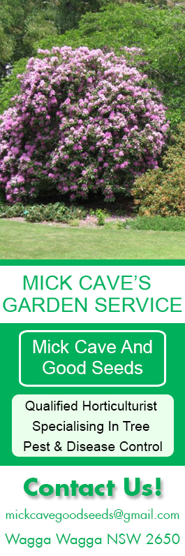 Mick Cave & Good Seeds Garden Service - Promotion
