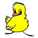 APAT Aussie Pet & Animal Travel - Pic 4
