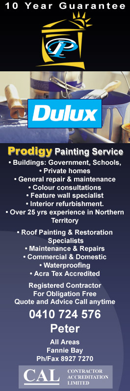 Prodigy Painting Service - Promotion