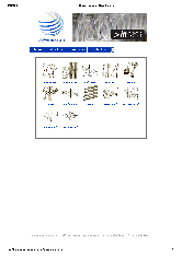 View PDF