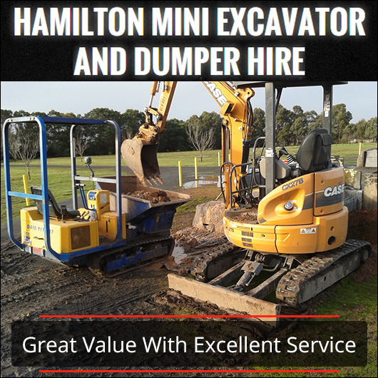 Hamilton Mini Excavator & Dumper Hire - Promotion
