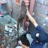 Expert Service Plumbing & Electrical - Pic 8