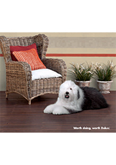 Dulux Australia 2