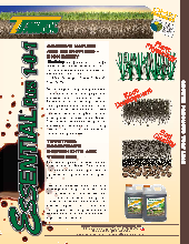 Essential Turf & Tree Brochure