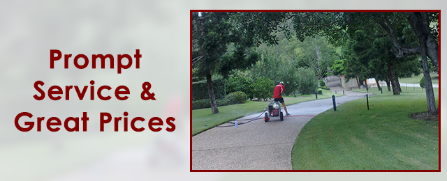 Western Suburbs Cleaning Service - Promotion 3