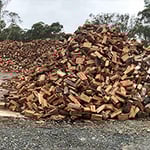Treecycled - Pic 5