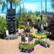 Bundaberg Wholesale Palms & Plants - Pic 10
