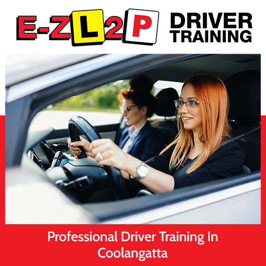 E-Z L2P Driver Training - Promotion